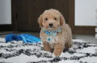 processed/372500d9-e45c-4835-98b9-9f1b9c70b322/listing/afec4f3f-ca3d-4e8f-8438-9964bc9dac36/5f53a477-8341-477f-b16b-04d1bff56a41