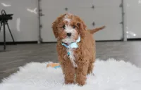 processed/372500d9-e45c-4835-98b9-9f1b9c70b322/listing/b9da7c42-7273-4d18-abc7-bb8e49a18846/3f10c891-8f31-412f-8a00-2e81ffc88cd1