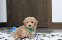 processed/372500d9-e45c-4835-98b9-9f1b9c70b322/listing/bd09302a-5af0-4040-8ce4-b1190a6f900d/803946fb-7abb-408b-bbb4-b7fbb9d1c907