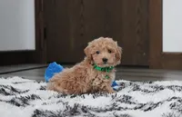 processed/372500d9-e45c-4835-98b9-9f1b9c70b322/listing/bd09302a-5af0-4040-8ce4-b1190a6f900d/90ce8c1d-f1bc-4b88-87ba-492cb84ae4fe