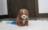 processed/372500d9-e45c-4835-98b9-9f1b9c70b322/listing/becc2490-7e2e-42d2-b45f-323b9c8ff0b3/bcb17863-73ad-4c93-92c7-22450338a362