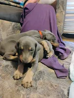 processed/372a9418-17c2-44d8-9167-32cee5df9a65/listing/a3fa2b3d-3ddb-403e-93b4-5d44d0006405/1022abb6-70df-468f-9497-d5b14e0805c1