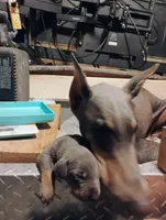 processed/372a9418-17c2-44d8-9167-32cee5df9a65/listing/a3fa2b3d-3ddb-403e-93b4-5d44d0006405/28efb97a-f9eb-4cbc-b002-80543942f55c