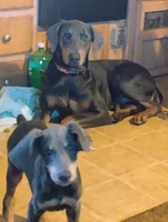 processed/372a9418-17c2-44d8-9167-32cee5df9a65/listing/a3fa2b3d-3ddb-403e-93b4-5d44d0006405/2bae19dd-259c-45a5-b20b-f9d476c73b2f