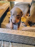 processed/372a9418-17c2-44d8-9167-32cee5df9a65/listing/a3fa2b3d-3ddb-403e-93b4-5d44d0006405/c13ba608-dc78-4fa8-8180-791d755b5c6e