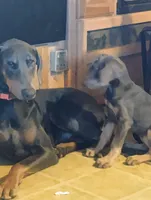 processed/372a9418-17c2-44d8-9167-32cee5df9a65/listing/a3fa2b3d-3ddb-403e-93b4-5d44d0006405/ee40598d-8078-48e1-840b-67c68e718113