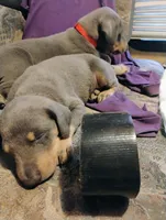 processed/372a9418-17c2-44d8-9167-32cee5df9a65/listing/a3fa2b3d-3ddb-403e-93b4-5d44d0006405/eff6c112-4afb-4288-a094-0b98146ad288