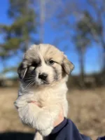 processed/372f1f73-a2cd-43b5-95eb-3e5ac43b63d4/listing/1c1e5ce5-e5a6-4ec9-bd3a-18a9775d9b23/124f1494-8c15-47b2-9b5e-461239705eac