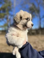 processed/372f1f73-a2cd-43b5-95eb-3e5ac43b63d4/listing/1c1e5ce5-e5a6-4ec9-bd3a-18a9775d9b23/6ff16d4c-5410-42d9-b4ce-b7c7c0d35c72