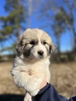 processed/372f1f73-a2cd-43b5-95eb-3e5ac43b63d4/listing/1c1e5ce5-e5a6-4ec9-bd3a-18a9775d9b23/9ac303fa-67f5-470f-9ed7-5ae5dd9933c2