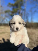 processed/372f1f73-a2cd-43b5-95eb-3e5ac43b63d4/listing/5137a4c3-5d2f-4dfd-a576-971cd91b2cad/49a11734-ad6f-43b6-88e2-89a008d8539b