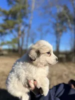 processed/372f1f73-a2cd-43b5-95eb-3e5ac43b63d4/listing/5137a4c3-5d2f-4dfd-a576-971cd91b2cad/b44e84be-6be9-47b6-9af3-8b09f1b6465b