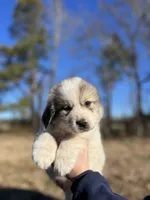 processed/372f1f73-a2cd-43b5-95eb-3e5ac43b63d4/listing/cd599928-716d-41eb-a518-09a0845f935c/76b58221-5092-4854-818e-a40fa2c197fd