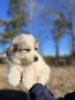 processed/372f1f73-a2cd-43b5-95eb-3e5ac43b63d4/listing/cd599928-716d-41eb-a518-09a0845f935c/df33b690-ade9-4087-9d56-6717b18dd6ba