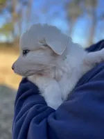 processed/372f1f73-a2cd-43b5-95eb-3e5ac43b63d4/listing/d78a2957-d4dd-4e12-bbe8-450b0ab26a6f/05dc4a25-744c-4b26-b028-611d2d058797