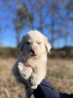 processed/372f1f73-a2cd-43b5-95eb-3e5ac43b63d4/listing/d78a2957-d4dd-4e12-bbe8-450b0ab26a6f/0b1f0849-0158-493e-94f5-e0de1729b86e