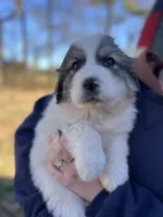 processed/372f1f73-a2cd-43b5-95eb-3e5ac43b63d4/listing/fbe956f6-bc4f-479f-8dc9-43b40ea7cb15/12c464e1-6a90-4f81-b931-66386f401be8