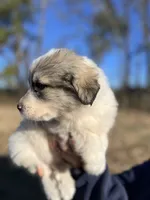 processed/372f1f73-a2cd-43b5-95eb-3e5ac43b63d4/listing/fbe956f6-bc4f-479f-8dc9-43b40ea7cb15/789fb5c9-594e-4a51-8f25-41e41aced702