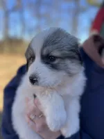 processed/372f1f73-a2cd-43b5-95eb-3e5ac43b63d4/listing/fbe956f6-bc4f-479f-8dc9-43b40ea7cb15/d9a1c540-9711-44df-9f45-b478a82800a5