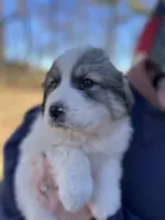 processed/372f1f73-a2cd-43b5-95eb-3e5ac43b63d4/listing/fbe956f6-bc4f-479f-8dc9-43b40ea7cb15/e838e233-0a1a-4a26-92da-ab84ac2a961f