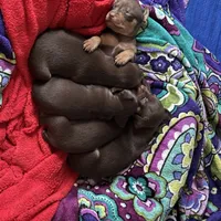 processed/373dcdca-9266-463f-97b4-72c792bfe5cd/facility/0a642832-3344-48df-987f-8ab8b98f77f8