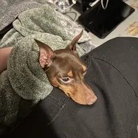 processed/373dcdca-9266-463f-97b4-72c792bfe5cd/facility/3dd89d50-fdf5-4e10-8687-dd3fb84e1fc0