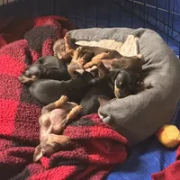 processed/373dcdca-9266-463f-97b4-72c792bfe5cd/facility/d2907cbd-7156-4fb0-a303-b2f862bd2394