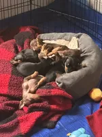 processed/373dcdca-9266-463f-97b4-72c792bfe5cd/facility/d2907cbd-7156-4fb0-a303-b2f862bd2394