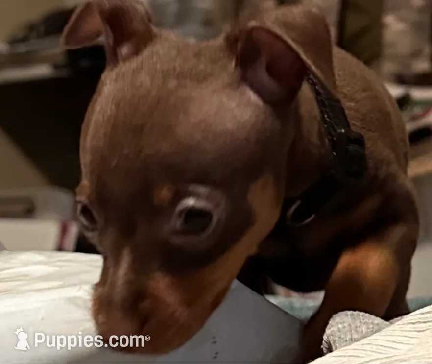 processed/373dcdca-9266-463f-97b4-72c792bfe5cd/listing/2cc609ee-dc01-4c2d-967a-47f4d8f1c658/1353326e-5638-47d3-b664-7fb4fcc027de