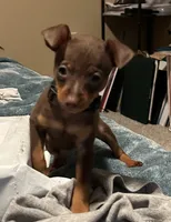 processed/373dcdca-9266-463f-97b4-72c792bfe5cd/listing/2cc609ee-dc01-4c2d-967a-47f4d8f1c658/56c498fa-0fdc-41fe-857b-2f8cceefea57