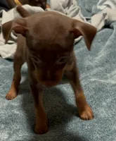 processed/373dcdca-9266-463f-97b4-72c792bfe5cd/listing/2cc609ee-dc01-4c2d-967a-47f4d8f1c658/9b77a18d-287b-4dca-bedb-d0efa256c973