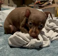 processed/373dcdca-9266-463f-97b4-72c792bfe5cd/listing/2cc609ee-dc01-4c2d-967a-47f4d8f1c658/be47332a-bba0-4dca-b422-77a480283595