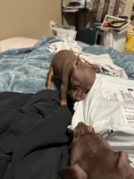 processed/373dcdca-9266-463f-97b4-72c792bfe5cd/listing/2cc609ee-dc01-4c2d-967a-47f4d8f1c658/d3f9c96f-87c5-4ad0-ae09-4f2680b1947f