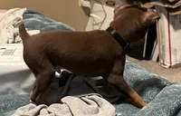 processed/373dcdca-9266-463f-97b4-72c792bfe5cd/listing/2cc609ee-dc01-4c2d-967a-47f4d8f1c658/f0a973b4-ab35-4339-9bb6-ecabd9c8c0e9