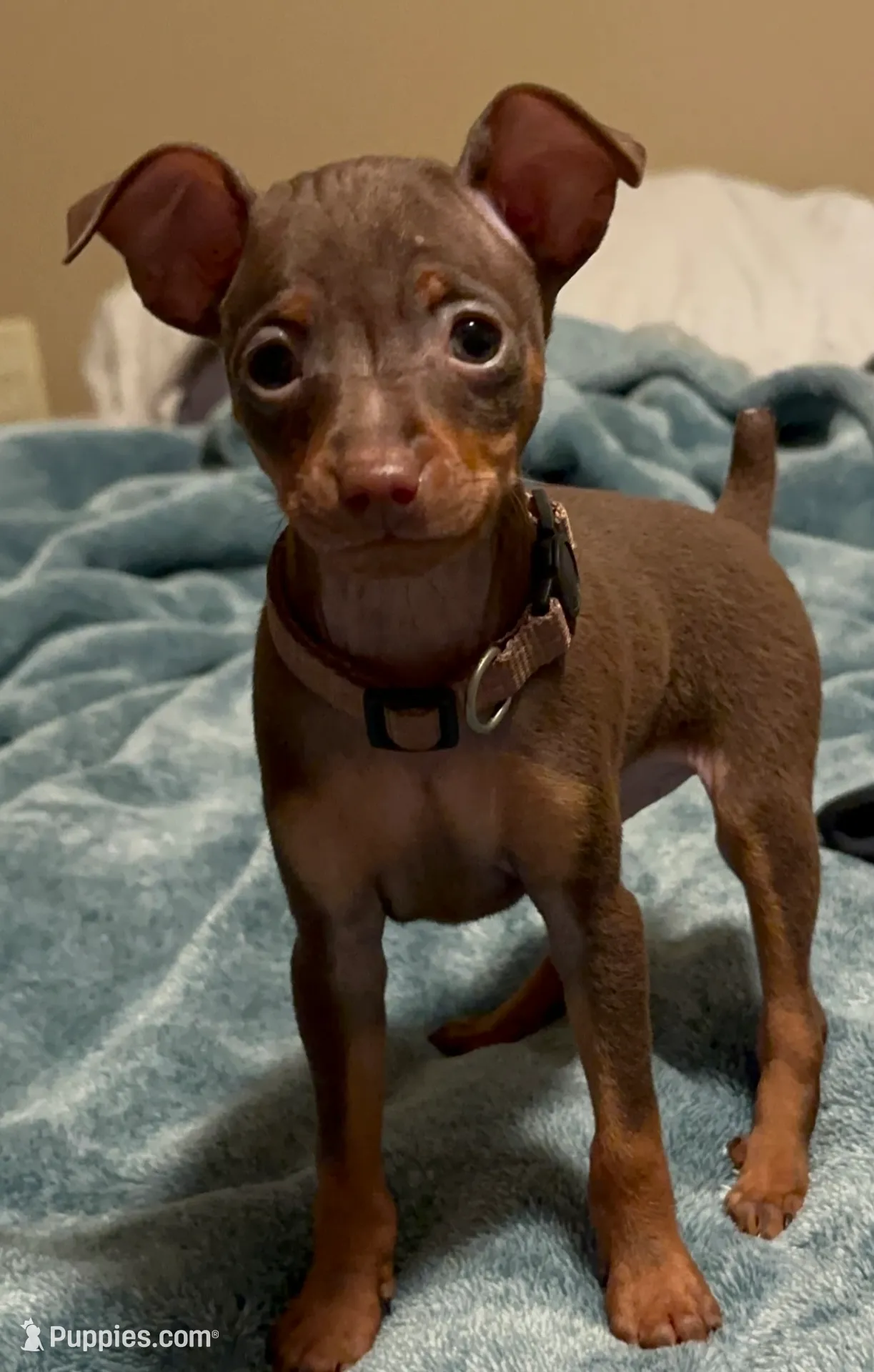 processed/373dcdca-9266-463f-97b4-72c792bfe5cd/listing/553c59fb-4383-4ea4-902d-826f64e15b2b/3c97c6c9-3223-4fff-ac7e-319237900c36