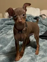 processed/373dcdca-9266-463f-97b4-72c792bfe5cd/listing/553c59fb-4383-4ea4-902d-826f64e15b2b/613f23c0-5f8e-4d0b-96d8-5a1f15487a09