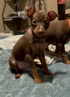 processed/373dcdca-9266-463f-97b4-72c792bfe5cd/listing/553c59fb-4383-4ea4-902d-826f64e15b2b/b7e15eb4-a7a2-49ef-9706-57f8f1d39715