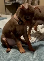 processed/373dcdca-9266-463f-97b4-72c792bfe5cd/listing/553c59fb-4383-4ea4-902d-826f64e15b2b/d9883f46-dcb1-45da-a782-2a7690abc9a3