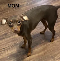 processed/373dcdca-9266-463f-97b4-72c792bfe5cd/listing/553c59fb-4383-4ea4-902d-826f64e15b2b/f5dff131-d423-46e2-9684-895d0c452d16