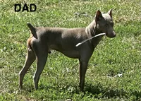 processed/373dcdca-9266-463f-97b4-72c792bfe5cd/listing/f6e07ea8-d467-4935-baf5-c06d0da8fb14/12ca7058-4c11-423f-be5b-6df64e21c6ae