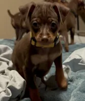 processed/373dcdca-9266-463f-97b4-72c792bfe5cd/listing/f6e07ea8-d467-4935-baf5-c06d0da8fb14/238603e2-ac26-4185-b17a-98fa2ecf0e37