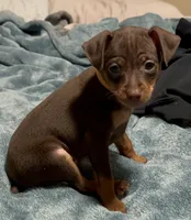 processed/373dcdca-9266-463f-97b4-72c792bfe5cd/listing/f6e07ea8-d467-4935-baf5-c06d0da8fb14/74dd069d-240d-4b43-b5de-cbbd7abd549c