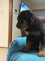 processed/374464f2-2731-44d3-bf13-9f4bd9d69bed/listing/06664551-3785-49d5-9b72-06cccef6cee7/0d94441e-c0cc-46ac-ab48-799884418f10