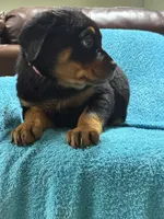 processed/374464f2-2731-44d3-bf13-9f4bd9d69bed/listing/06664551-3785-49d5-9b72-06cccef6cee7/47063dc1-d537-4fb7-a228-1f4dbb653d54