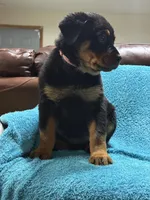 processed/374464f2-2731-44d3-bf13-9f4bd9d69bed/listing/06664551-3785-49d5-9b72-06cccef6cee7/7805848d-6f24-410b-8f57-3f81268c2d48