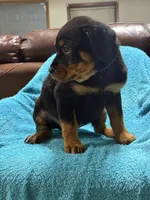 processed/374464f2-2731-44d3-bf13-9f4bd9d69bed/listing/463af4ad-403c-41cf-ab9c-1861ae1f990b/8ca6cfc6-e449-4af4-9623-db7f58b9314b