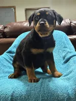 processed/374464f2-2731-44d3-bf13-9f4bd9d69bed/listing/463af4ad-403c-41cf-ab9c-1861ae1f990b/9bf66482-7904-46cb-8a88-d3d17176bd76