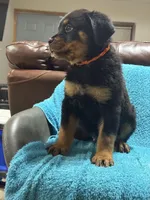 processed/374464f2-2731-44d3-bf13-9f4bd9d69bed/listing/65ffb228-ec55-49f4-a88c-0ea34a48fd84/4f2ecdd7-ff6f-4b24-871c-cfcd2daea65b