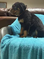 processed/374464f2-2731-44d3-bf13-9f4bd9d69bed/listing/65ffb228-ec55-49f4-a88c-0ea34a48fd84/b060bec0-9b17-488a-93ab-95a3482cb4f8