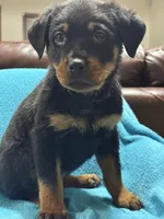 processed/374464f2-2731-44d3-bf13-9f4bd9d69bed/listing/82529ae9-25b2-44cc-8c39-d294681e0ed2/02c284af-9bd9-42f6-9381-e884f3b0e832